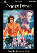 Dark Fire in Audio Book Format