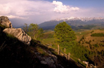 Carpathian Mountians