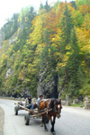 Bicaz Gorge