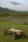 Botos - Cart