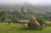 Botosona - Haystacks