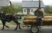 Botosona - Horsecart
