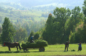 Botosona - Field Workers
