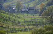 Valea Putnei
