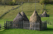 Valea Putnei