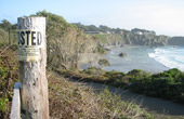 Mendocino Coast