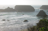 Mendocino Coast