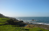 Mendocino Coast