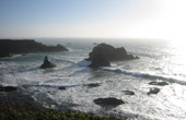 Mendocino Coast