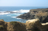 Mendocino Coast