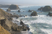 Mendocino Coast