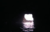Mendocino Coast