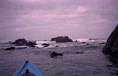Mendocino Coast