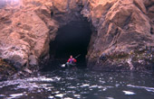 Mendocino Coast
