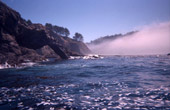 Mendocino Coast