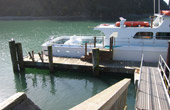 Noyo Harbor