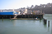 Noyo Harbor
