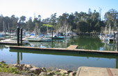 Noyo Harbor