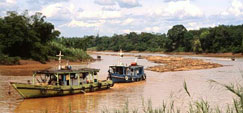 Kinabatangan River (C) Bill Yeaton