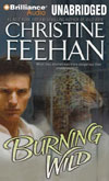 Burning Wild in audio book format!
