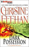 Dark Possession Audio Book Format!