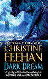Dark Dream: ebook format