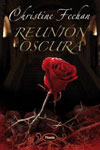 Reunion Oscura: Dark Celebration in Spanish 