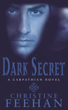 UK Dark Secret