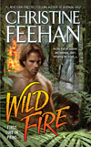 Wild Fire