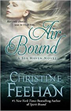 Air Bound Large Print Hardcover