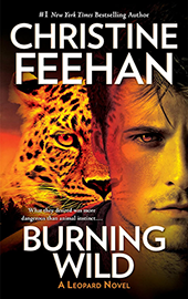 Burning Wild E-Book