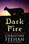 Dark Fire large print