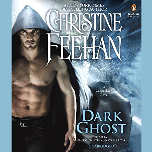 Dark Ghost Audiobook