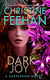 Dark Joy E-book