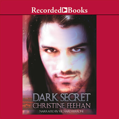 Dark Secret Audiobook