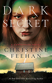 Dark Secret Paperback