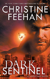 Dark Sentinel Paperback