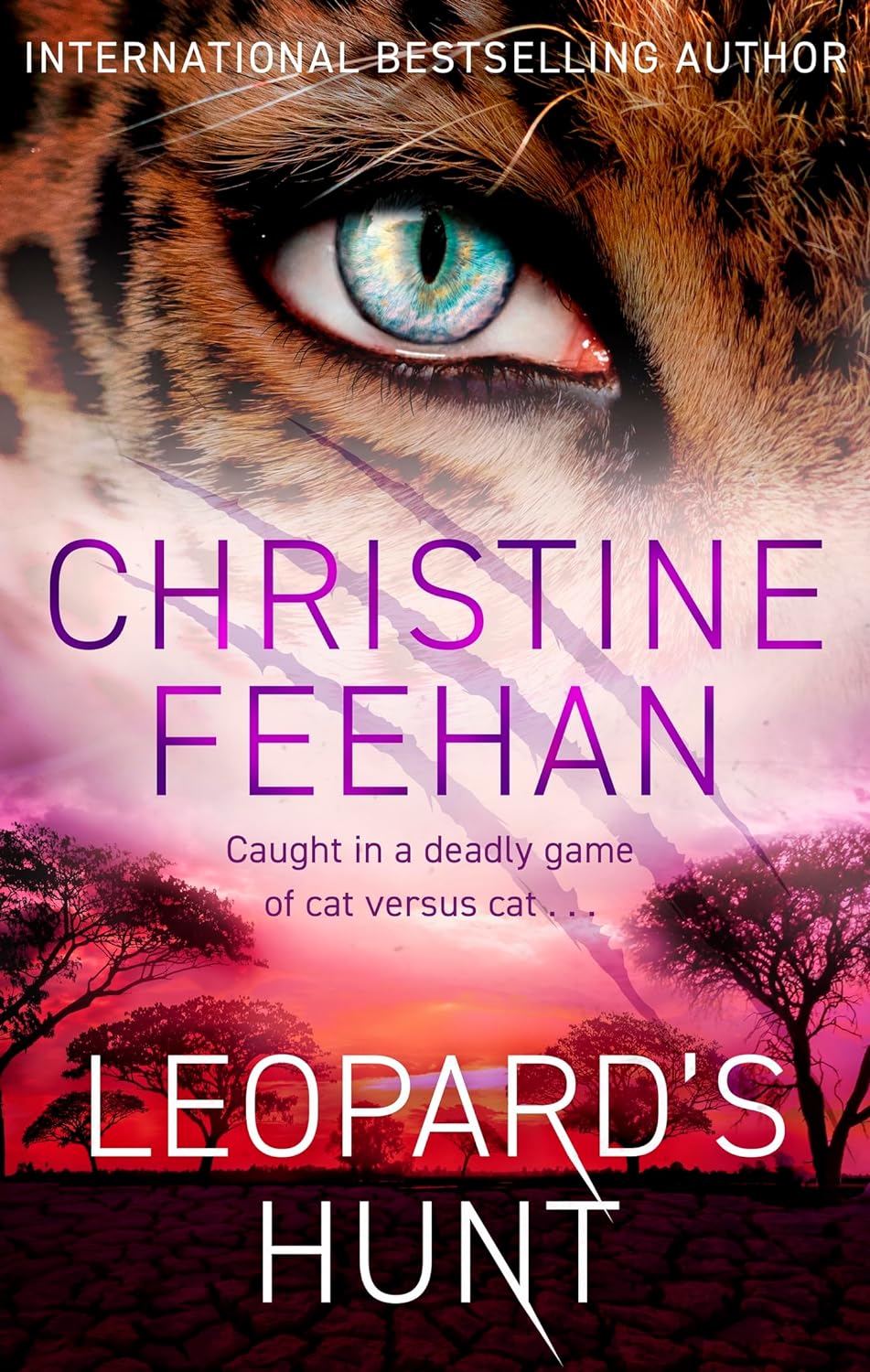 Leopard's Hunt by Christine Feehan