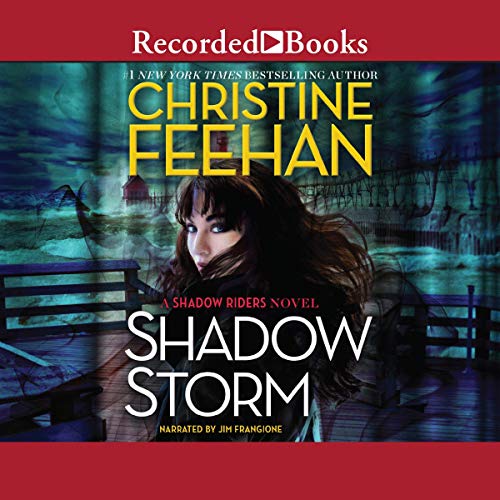 Shadow Storm Audiobook