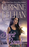 Spirit Bound paperback