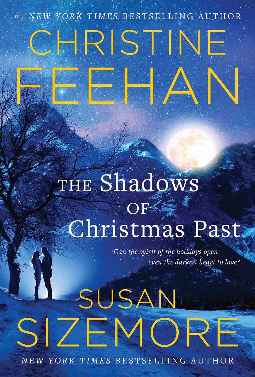 Shadows of Christmas Past E-Book