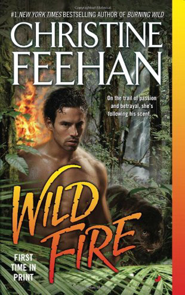 Image result for wild fire christine feehan book cover