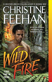 Wild Fire